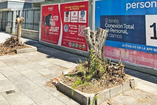 Linea Oeste Juntan firmas para frenar las extracciones de árboles y las podas innecesarias en la  Ciudad de Buenos Aires